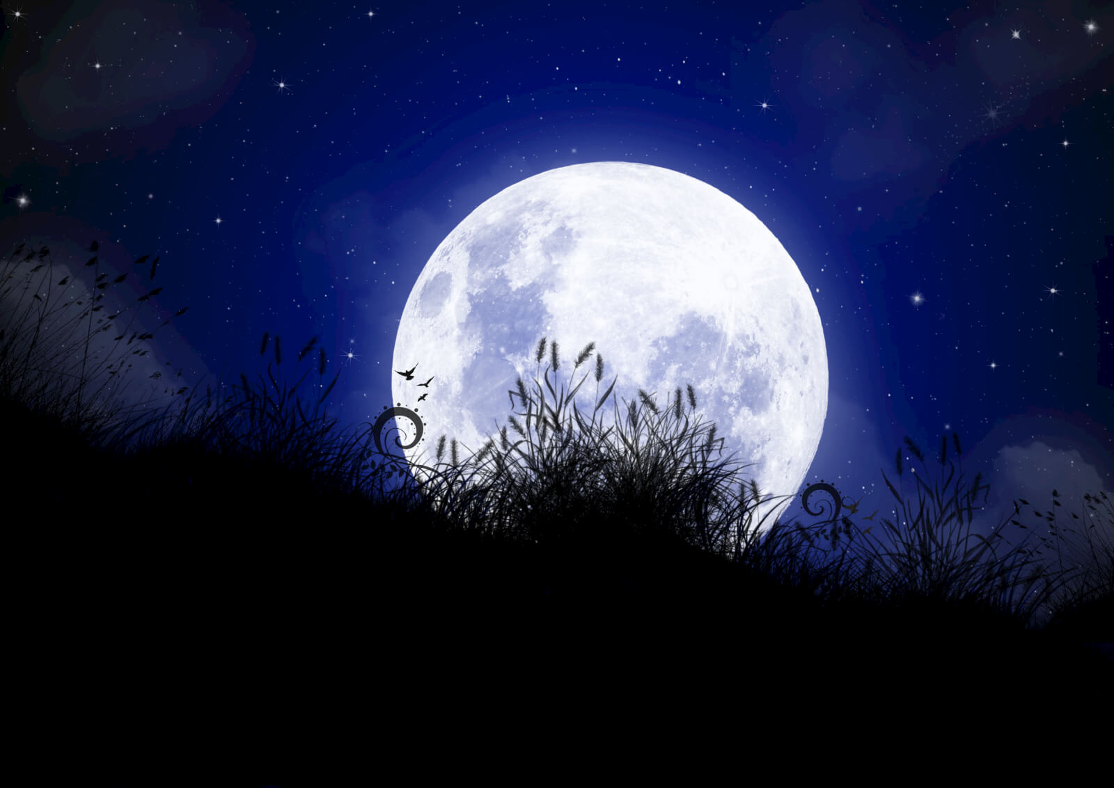 event image for Harvest Moon Festival