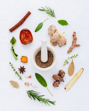 event image for Art with Herbs