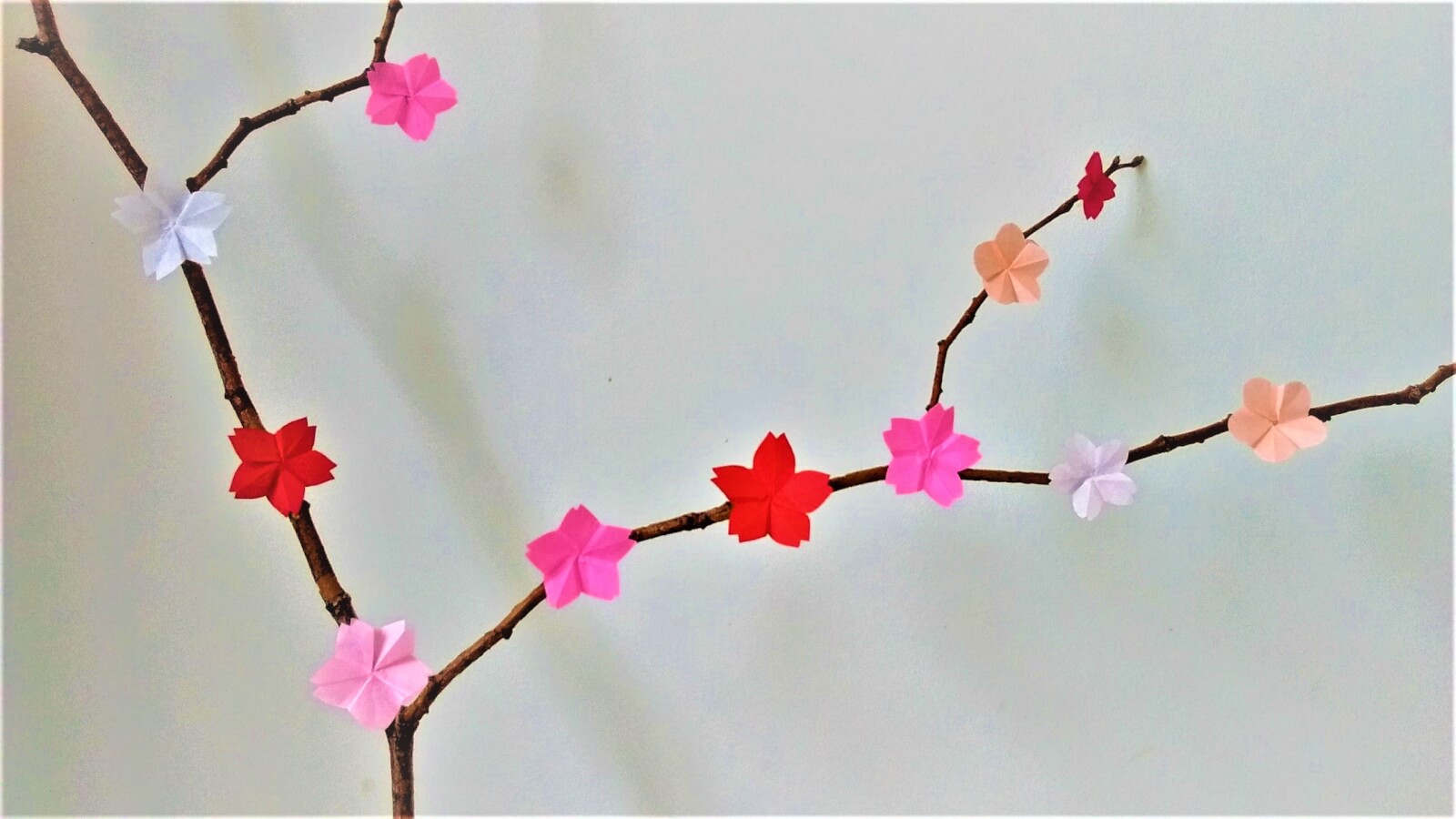 event image for Lunar New Year Origami Blooming with Cherry Blossom